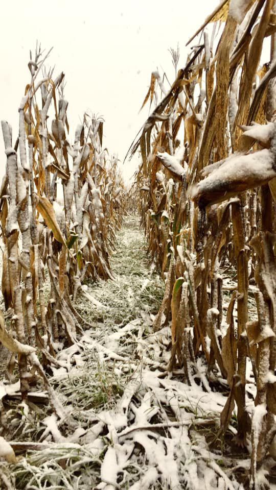 Snow, 10/14